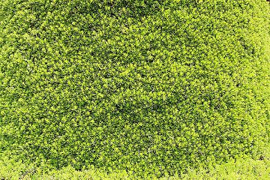 英国实体周榜：XB1和PS4版发售 《霍格沃茨》重登第一